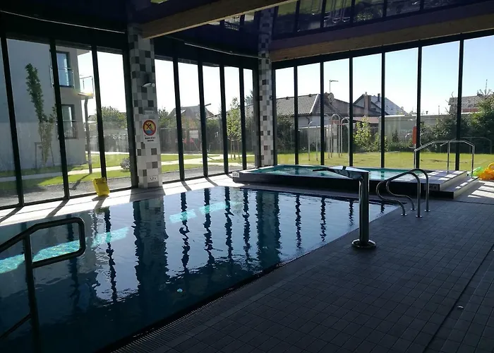 5morz Leo * 辛安诺泽蒂