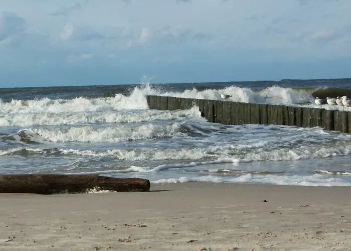 Διαμέρισμα 5morz Leo *