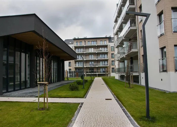 5morz Leo 辛安诺泽蒂