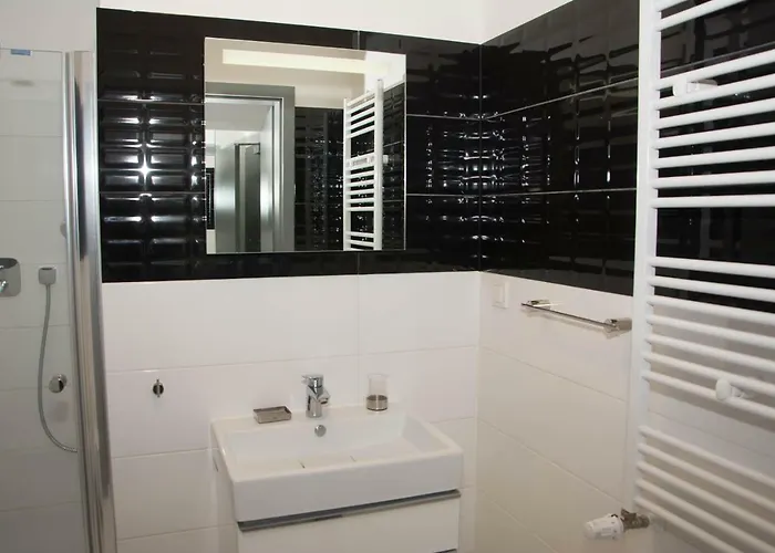 5morz Leo 辛安诺泽蒂