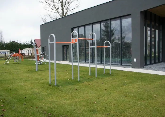 5morz Leo 辛安诺泽蒂